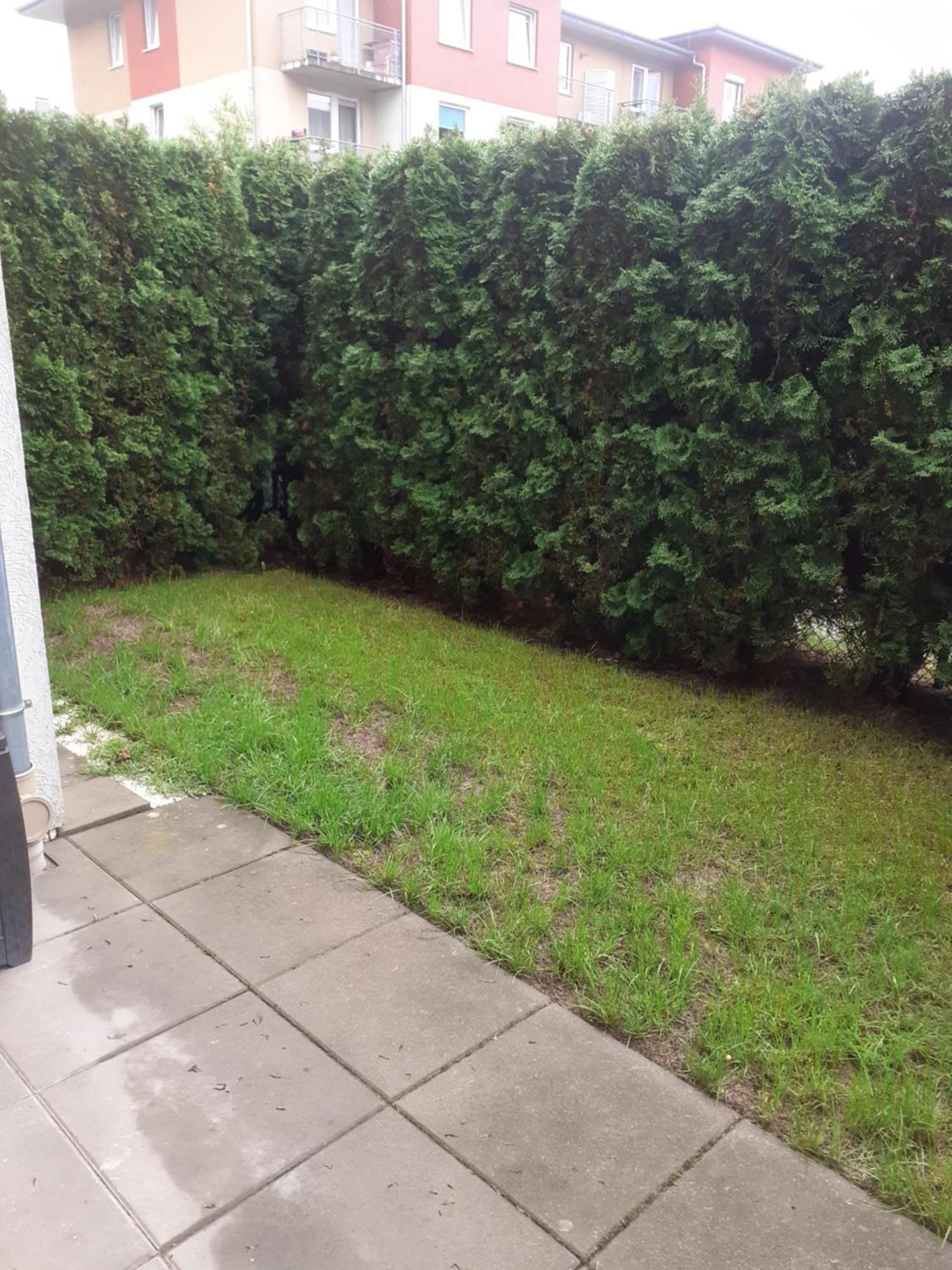 Apartment Sloneczny Z Malym Ogrodkiem *